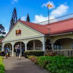 The Dole Platation, one of the things that you can do on Hawaii family vacations.