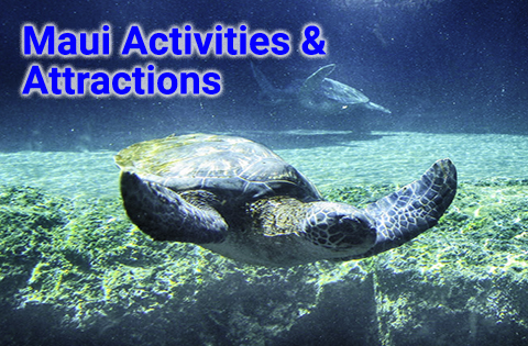 Hawaii Activities & Attractions on Maui - B. Inouye