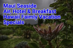 Maui Seaside family vacation deals start at $690 per person, double occupancy.