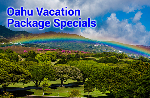 vacation packages