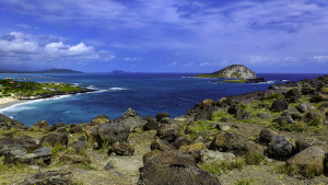 View from Makapu'u Point.