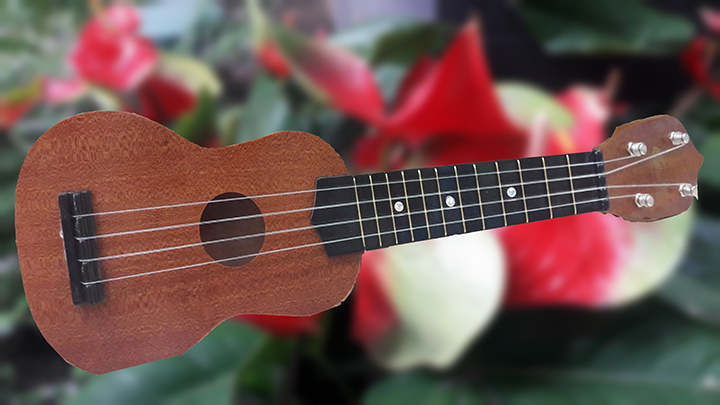 The History of the Ukulele - Hawaii Luaus™