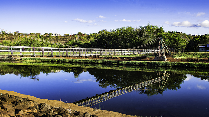 One of a number of swinging bridges in Hawaii.