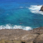 Snorkeling in Hawaii