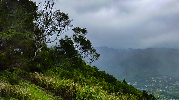 Visiting Tantalus, one of the things to do in Honolulu on a rainy day