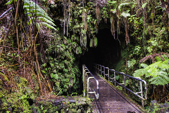 Thurston Lava Tube, one of the caves in Hawaii.