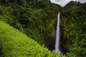 One of the memorable Hawaiian waterfalls, Akaka Falls