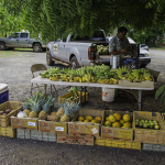 Molokai farmers markets
