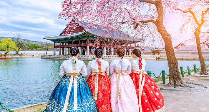 Seoul, Busan & Nami Island Cherry Blossom Tour 2025 - Panda Travel